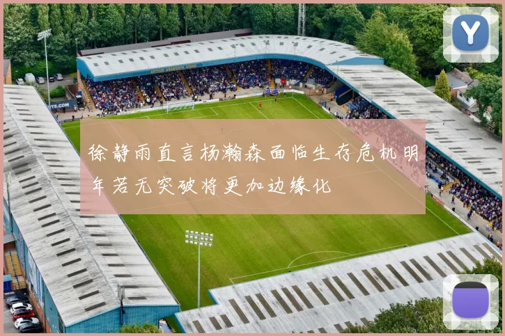 徐静雨直言杨瀚森面临生存危机明年若无突破将更加边缘化
