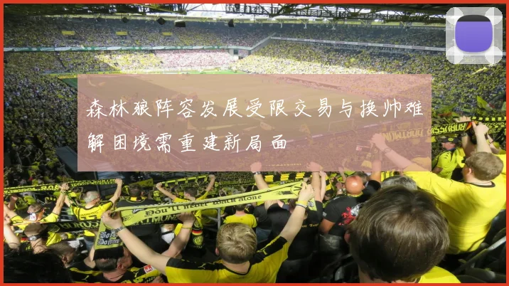 森林狼阵容发展受限交易与换帅难解困境需重建新局面