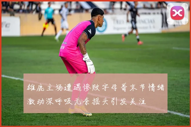 雄鹿主场遭遇惨败字母哥末节情绪激动深呼吸无奈摇头引发关注